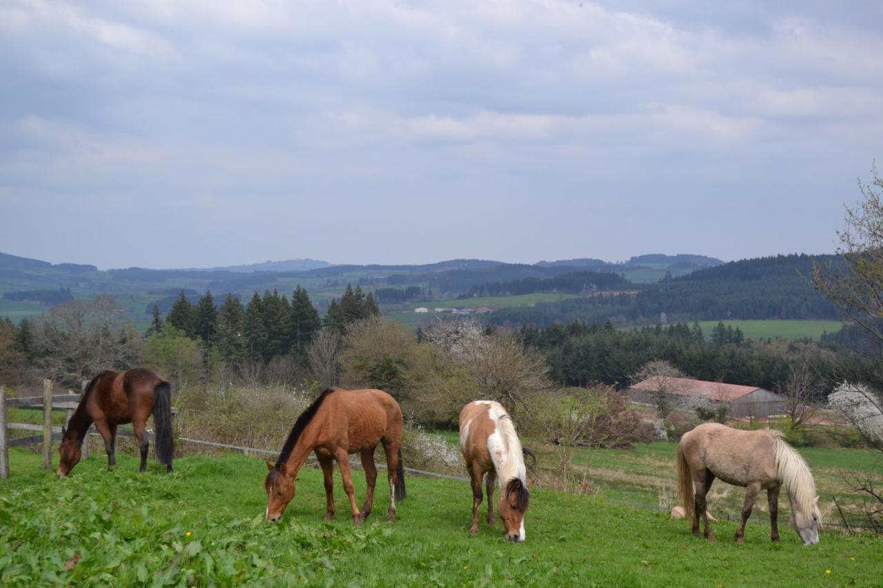 Les Perruchons Ancienne Grange Renovee Avec Soin Villa Ozolles Bagian luar foto