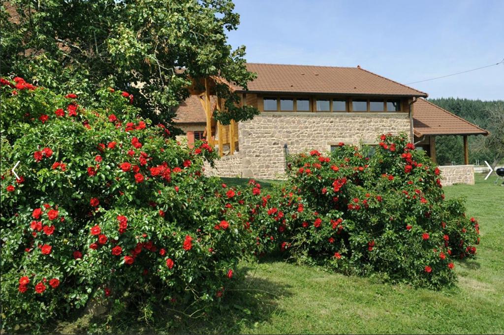 Les Perruchons Ancienne Grange Renovee Avec Soin Villa Ozolles Ruang foto