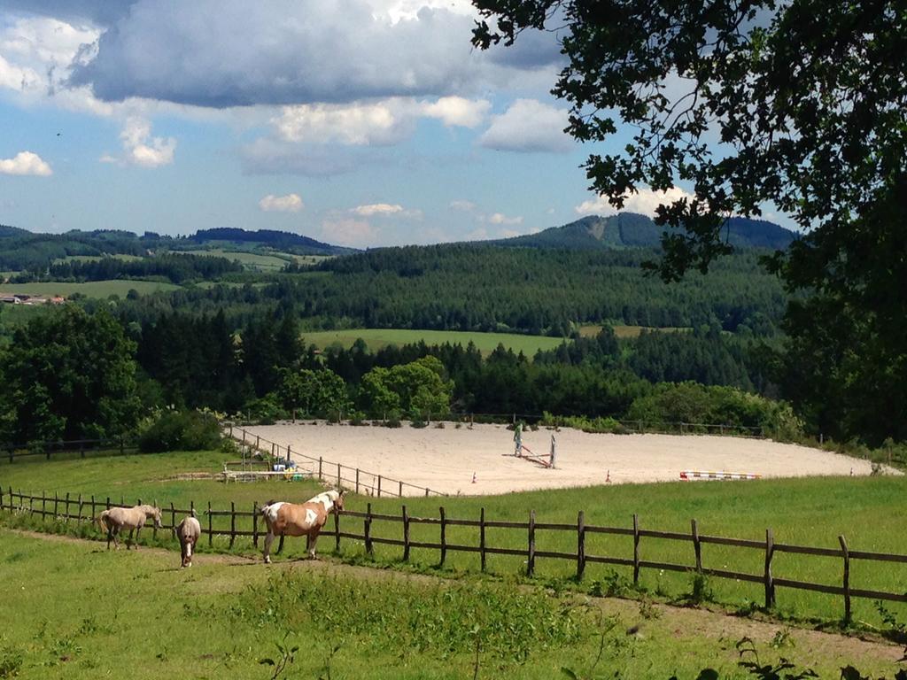 Les Perruchons Ancienne Grange Renovee Avec Soin Villa Ozolles Ruang foto
