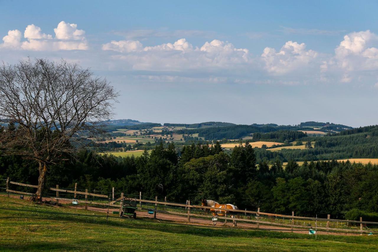 Les Perruchons Ancienne Grange Renovee Avec Soin Villa Ozolles Bagian luar foto