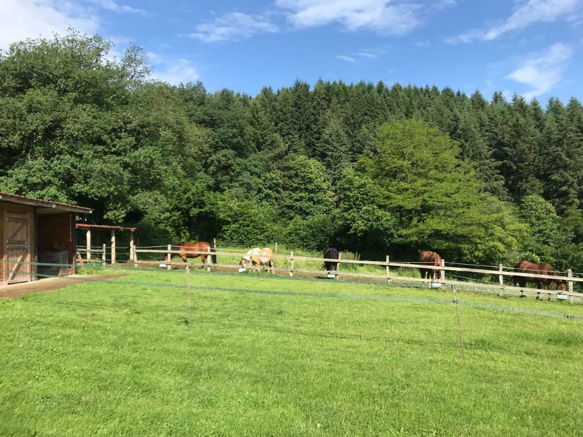 Les Perruchons Ancienne Grange Renovee Avec Soin Villa Ozolles Bagian luar foto