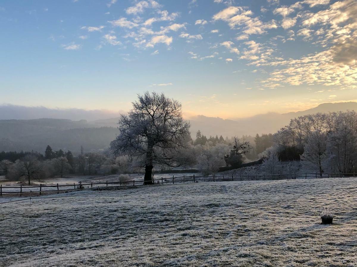 Les Perruchons Ancienne Grange Renovee Avec Soin Villa Ozolles Bagian luar foto