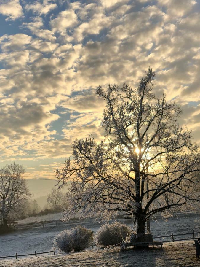 Les Perruchons Ancienne Grange Renovee Avec Soin Villa Ozolles Bagian luar foto